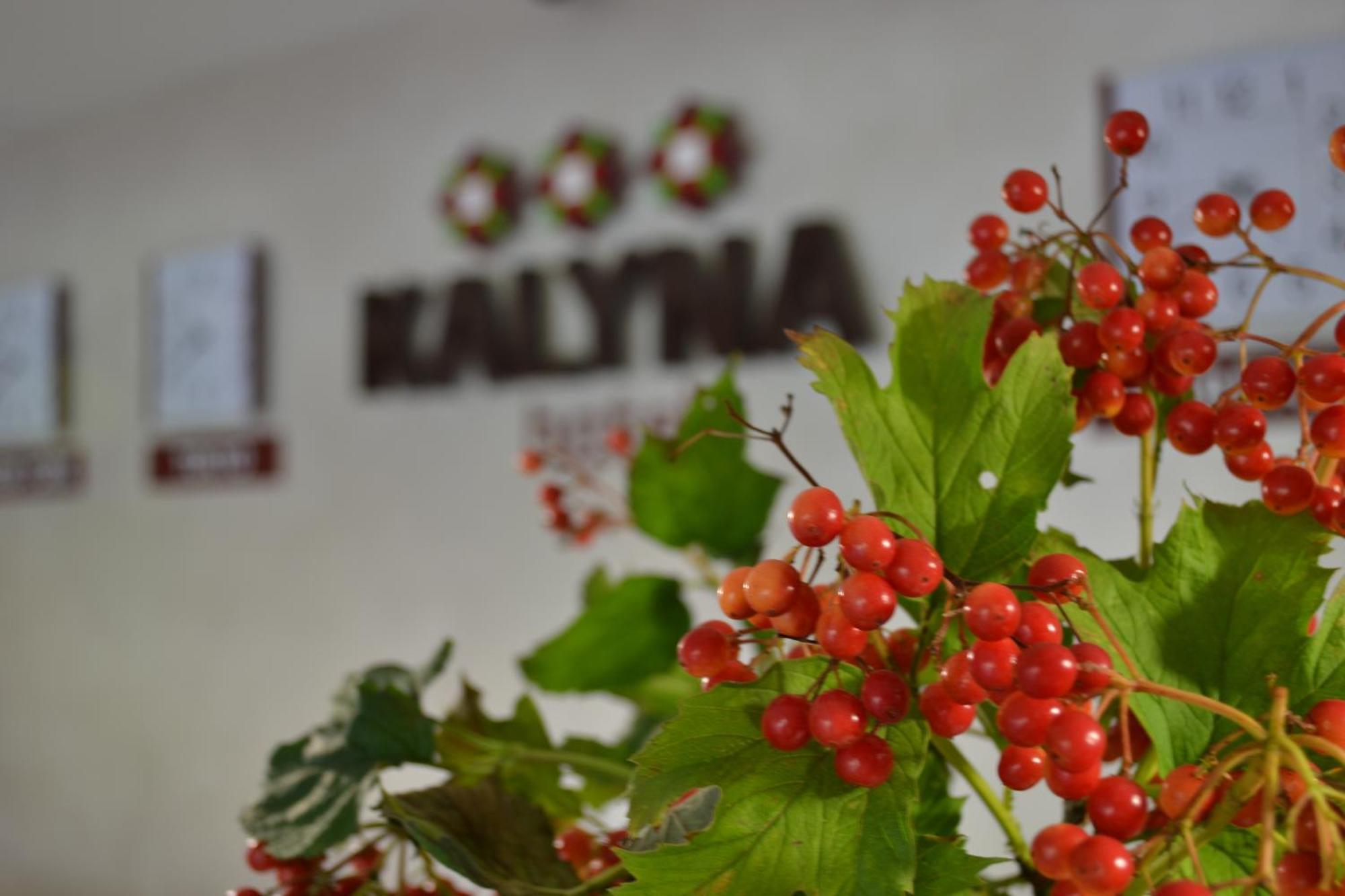 Hotel Kalyna Kharkov Ngoại thất bức ảnh